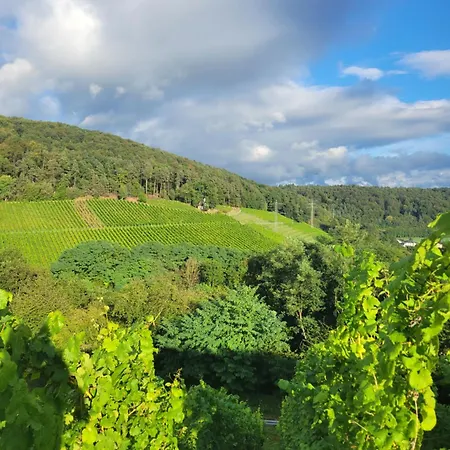 Appartamento Vineyard-suites Traumferienwohnung Mit Panoramablick Und Weinidylle *