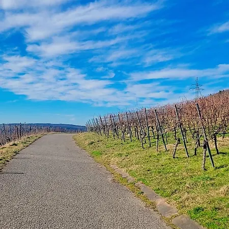 Vineyard-suites Traumferienwohnung Mit Panoramablick Und Weinidylle Appartamento