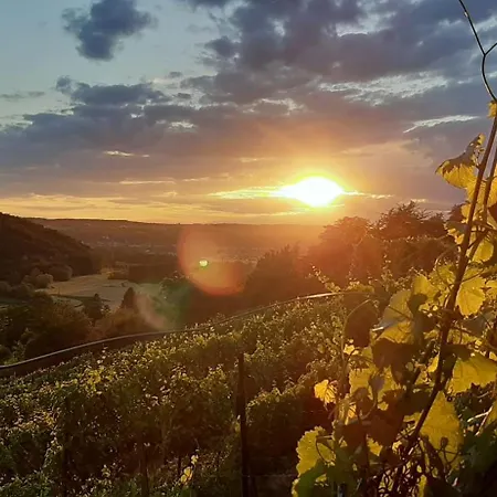 Vineyard-suites Traumferienwohnung Mit Panoramablick Und Weinidylle