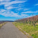 Vineyard-suites Traumferienwohnung Mit Panoramablick Und Weinidylle Apartment