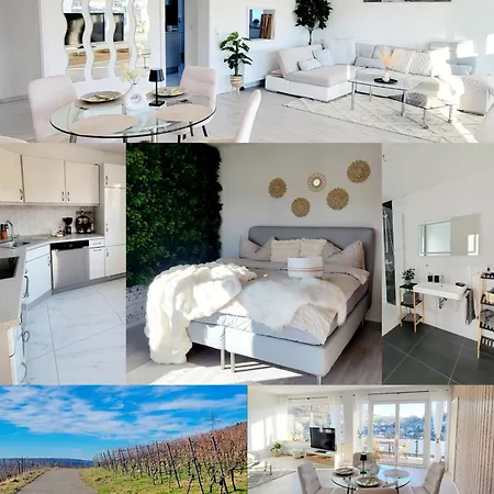 Vineyard-suites Traumferienwohnung Mit Panoramablick Und Weinidylle Elsenfeld