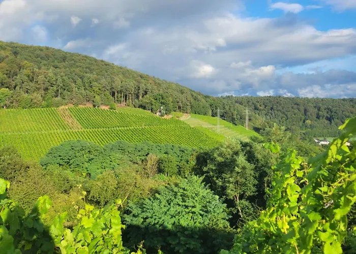 Apartamento Vineyard-suites Traumferienwohnung Mit Panoramablick Und Weinidylle *