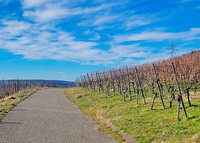 Vineyard-suites Traumferienwohnung Mit Panoramablick Und Weinidylle Apartamento