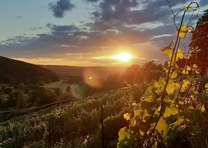 Vineyard-suites Traumferienwohnung Mit Panoramablick Und Weinidylle